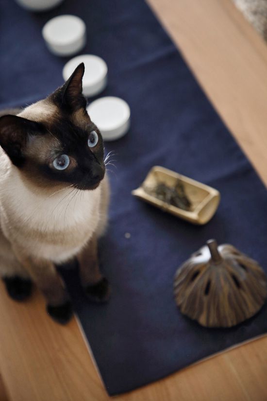 經典日式元素+八大室內空間分區，這套87㎡新概念和風小屋讓人眼前一亮！