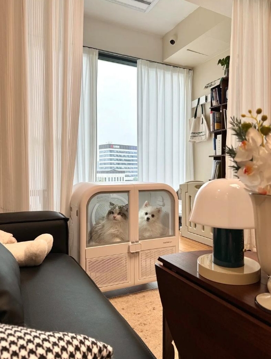 室內(nèi)設(shè)計(jì)師建議：新房入住后廚房太亂怎么辦?